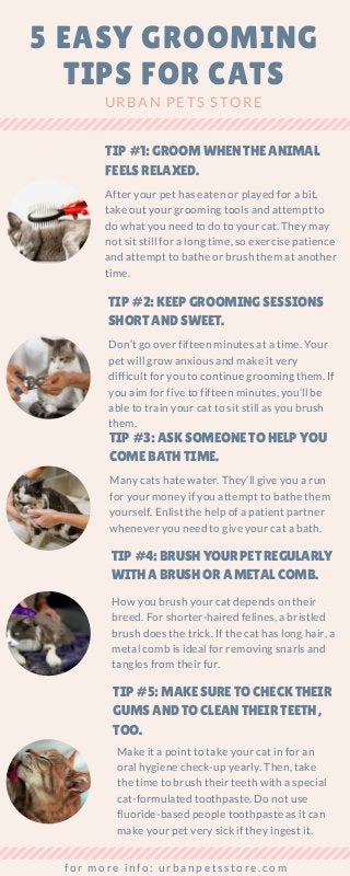 5 EASY GROOMING
TIPS FOR CATS
URBAN PETS STORE
TIP #1: GROOM WHEN THE ANIMAL
FEELS RELAXED.
After your pet has eaten or played for a bit,
take out your grooming tools and attempt to
do what you need to do to your cat. They may
not sit still for a long time, so exercise patience
and attempt to bathe or brush them at another
time.
TIP #2: KEEP GROOMING SESSIONS
SHORT AND SWEET.
Don’t go over fifteen minutes at a time. Your
pet will grow anxious and make it very
difficult for you to continue grooming them. If
you aim for five to fifteen minutes, you’ll be
able to train your cat to sit still as you brush
them.
TIP #3: ASK SOMEONE TO HELP YOU
COME BATH TIME.
Many cats hate water. They’ll give you a run
for your money if you attempt to bathe them
yourself. Enlist the help of a patient partner
whenever you need to give your cat a bath.
TIP #4: BRUSH YOUR PET REGULARLY
WITH A BRUSH OR A METAL COMB.
How you brush your cat depends on their
breed. For shorter-haired felines, a bristled
brush does the trick. If the cat has long hair, a
metal comb is ideal for removing snarls and
tangles from their fur.
TIP #5: MAKE SURE TO CHECK THEIR
GUMS AND TO CLEAN THEIR TEETH,
TOO.
for more info: urbanpetsstore.com
Make it a point to take your cat in for an
oral hygiene check-up yearly. Then, take
the time to brush their teeth with a special
cat-formulated toothpaste. Do not use
fluoride-based people toothpaste as it can
make your pet very sick if they ingest it.
 