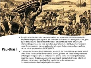 Pau-Brasil
• A exploração da árvore do pau-brasil veio a ser a primeira atividade econômica
empreendida pelos portugueses em território brasileiro. Sua extração foi fácil, pois
o pau-brasil estava localizado em florestas adjacentes ao litoral e havia um
intercâmbio permanente com os índios, que talhavam e conduziam as toras em
troca de mercadorias européias banais, tais como facões, machados, espelhos,
panos, entre outras coisas. (=ESCAMBO)
• O primeiro a usufruir dessa concessão, em 1501, foi Fernando de Noronha, o qual
tinha como sócios vários comerciantes judeus, porém, em troca desta permissão,
tinham por obrigação enviar embarcações à nova terra, encontrar pelo menos
trezentas léguas de costa, pagar uma quantia pré -estipulada à Coroa e também
edificar e conservar as fortificações, mantendo assim a segurança
do novo território tão almejado pelos invasores.
 