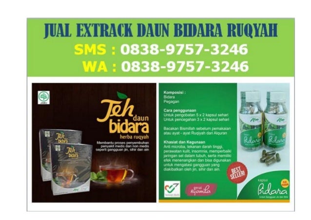 100+ Gambar Sabun Daun Bidara Paling Hist 100+ Gambar Sabun Daun Bidara Paling Hist
