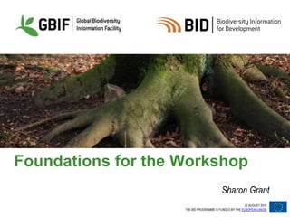 22 AUGUST 2016
THE BID PROGRAMME IS FUNDED BY THE EUROPEAN UNION
Foundations for the Workshop
Sharon Grant
 
