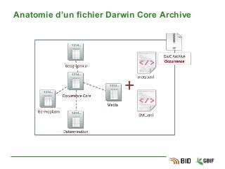 Anatomie d’un fichier Darwin Core Archive
 
