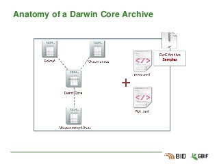 Anatomy of a Darwin Core Archive
 