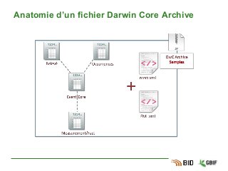 Anatomie d’un fichier Darwin Core Archive
 