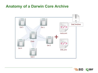 Core and extensions: concepts
●Each dataset has one and only one Core file
●Each core file corresponds to a dataset type:
Occurrence, Checklist or Sampling event.
●Each dataset can have one or more extensions file
●The aim of an extension is to add new data fields
not present in the core.
●Each row in an extension file references one and
only one row in the core (with an ID).
 