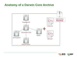 Coeurs et extensions: concepts
● Chaque jeu de données est composé d’un et un seul
fichier Coeur.
● Chaque coeur correspond à un type de jeu de données:
Occurrence, Checklist or Evenement
d'échantillonnage.
● Chaque jeu de donnée peut avoir une ou plusieurs
extensions.
● Le but d’une extension est d’ajouter des champs, en plus
de ce qui est dans le coeur.
● Chaque ligne dans une extension référence une et une
seule ligne dans le fichier coeur.
 