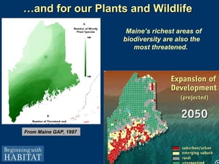 From Maine GAP, 1997  Maine’s richest areas of biodiversity are also the most threatened.   … and for our Plants and Wildlife 