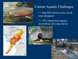 < than 60% forest cover, brook trout disappear > 10% impervious aquatic invertebrate diversity halves Current Aquatic Challenges 