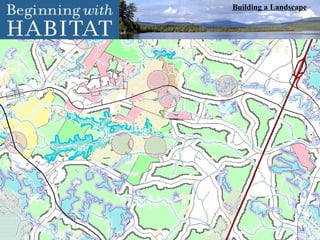 Building a Landscape 