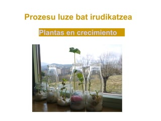 Prozesu luze bat irudikatzea
   Plantas en crecimiento
 