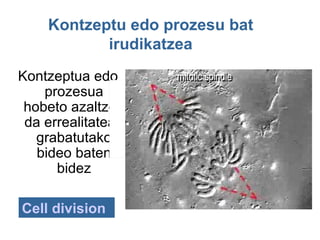 Kontzeptu edo prozesu bat
           irudikatzea
Kontzeptua edo
    prozesua
 hobeto azaltzen
 da errealitatean
   grabatutako
   bideo baten
      bidez

Cell division
 