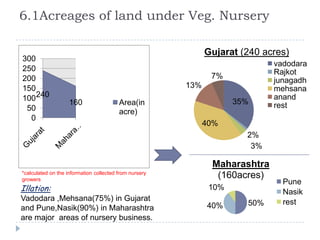 6.1Acreages of land under Veg. Nursery

                                                              Gujarat (240 acres)
300
                                                                             vadodara
250                                                                          Rajkot
200                                                            7%
                                                                             junagadh
150                                                     13%                  mehsana
100 240                                                              35%
                                                                             anand
                    160                  Area(in                             rest
 50                                      acre)
  0
                                                              40%
                                                                       2%
                                                                        3%

                                                               Maharashtra
*calculated on the information collected from nursery
growers
                                                                (160acres)
                                                                               Pune
Illation:                                                      10%
                                                                               Nasik
Vadodara ,Mehsana(75%) in Gujarat                                              rest
                                                              40%      50%
and Pune,Nasik(90%) in Maharashtra
are major areas of nursery business.
 