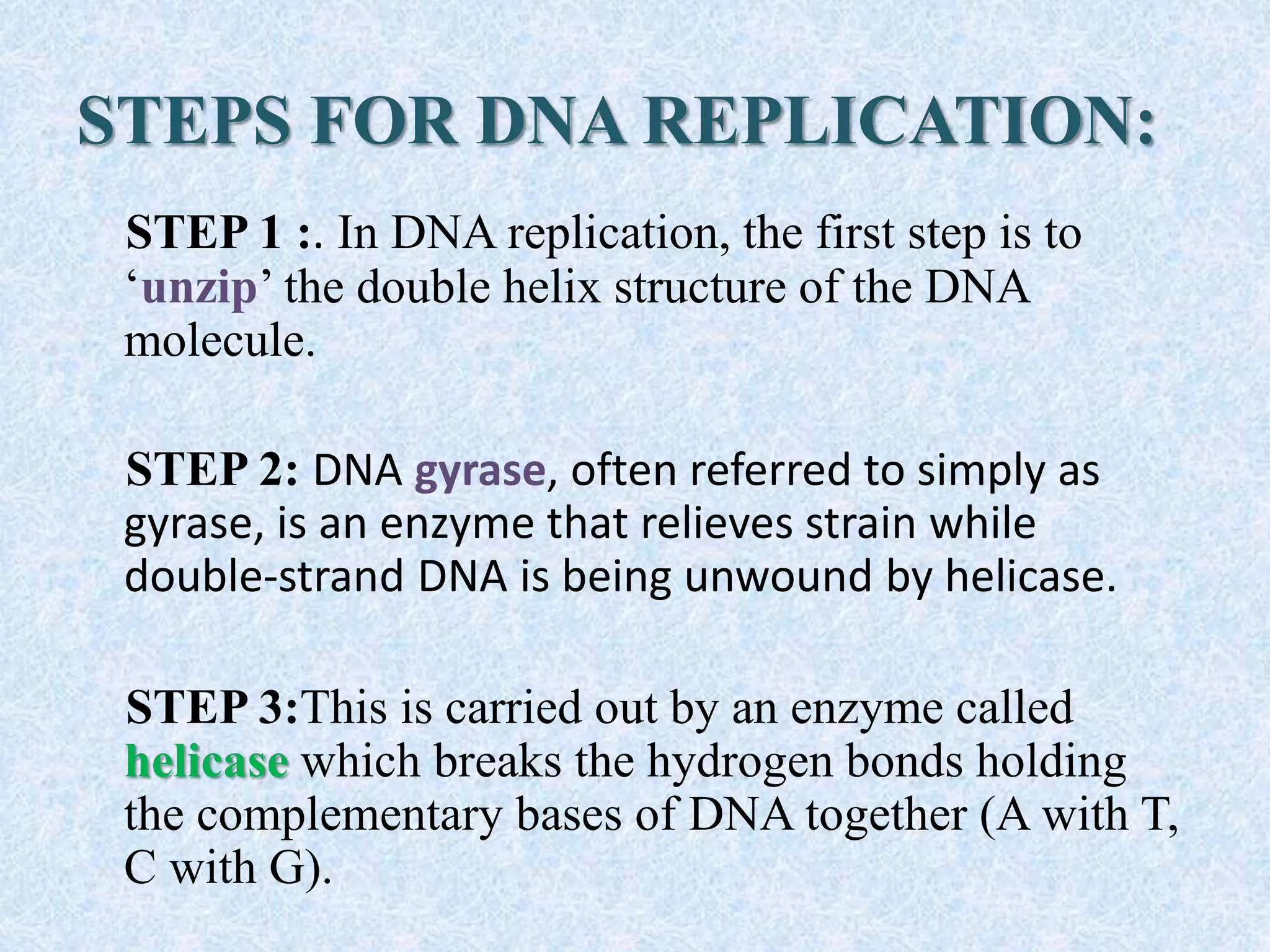 STEPS FOR DNA REPLICATION:
STEP 1 :. In DNA replication, the first step is to
‘unzip’ the double helix structure of the DNA
molecule.
STEP 2: DNA gyrase, often referred to simply as
gyrase, is an enzyme that relieves strain while
double-strand DNA is being unwound by helicase.
STEP 3:This is carried out by an enzyme called
helicase which breaks the hydrogen bonds holding
the complementary bases of DNA together (A with T,
C with G).
 