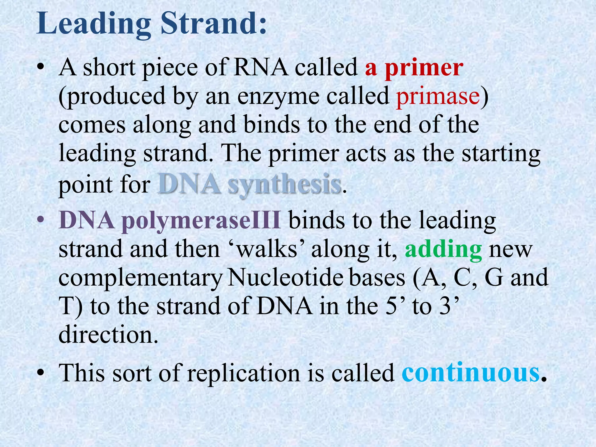 Leading Strand:
• A short piece of RNA called a primer
(produced by an enzyme called primase)
comes along and binds to the end of the
leading strand. The primer acts as the starting
point for DNA synthesis.
• DNA polymeraseIII binds to the leading
strand and then ‘walks’ along it, adding new
complementary Nucleotide bases (A, C, G and
T) to the strand of DNA in the 5’ to 3’
direction.
• This sort of replication is called continuous.
 
