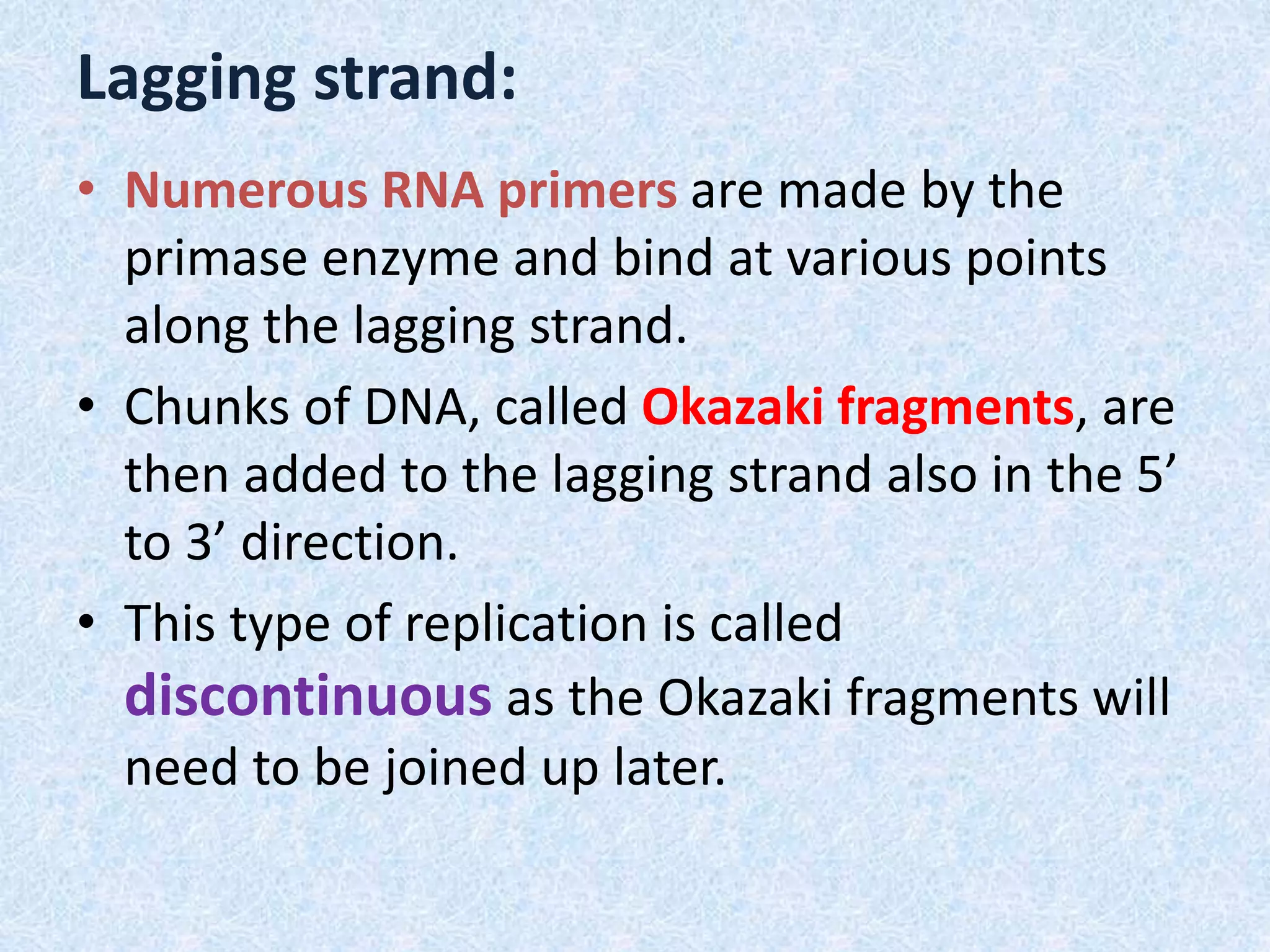 Lagging strand:
• Numerous RNA primers are made by the
primase enzyme and bind at various points
along the lagging strand.
• Chunks of DNA, called Okazaki fragments, are
then added to the lagging strand also in the 5’
to 3’ direction.
• This type of replication is called
discontinuous as the Okazaki fragments will
need to be joined up later.
 