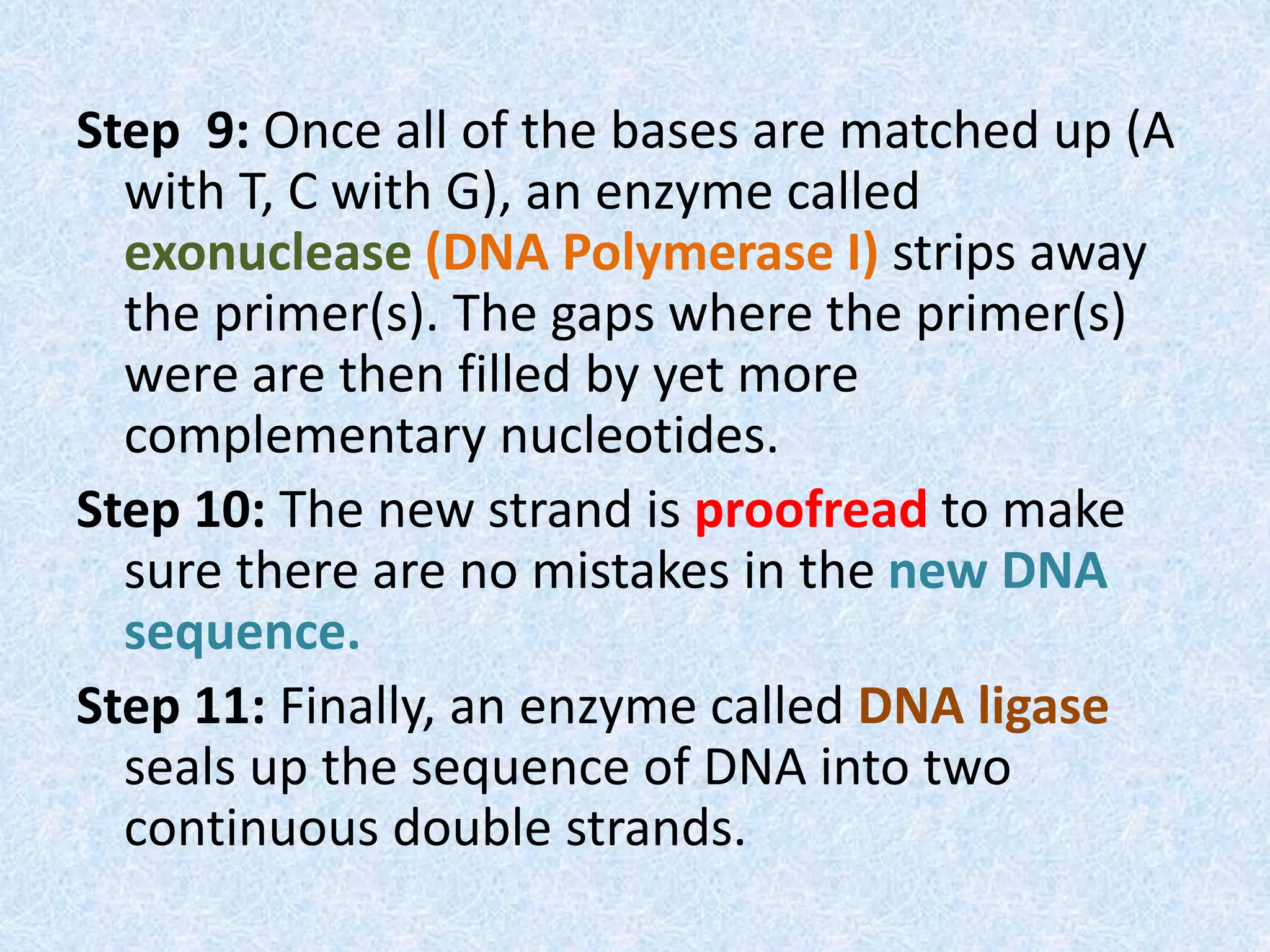 Step 9: Once all of the bases are matched up (A
with T, C with G), an enzyme called
exonuclease (DNA Polymerase I) strips away
the primer(s). The gaps where the primer(s)
were are then filled by yet more
complementary nucleotides.
Step 10: The new strand is proofread to make
sure there are no mistakes in the new DNA
sequence.
Step 11: Finally, an enzyme called DNA ligase
seals up the sequence of DNA into two
continuous double strands.
 