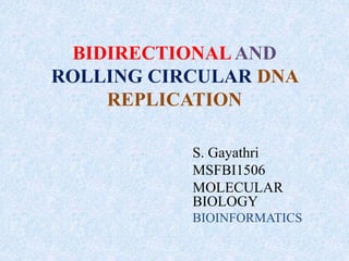 BIDIRECTIONAL AND
ROLLING CIRCULAR DNA
REPLICATION
S. Gayathri
MSFBI1506
MOLECULAR
BIOLOGY
BIOINFORMATICS
 