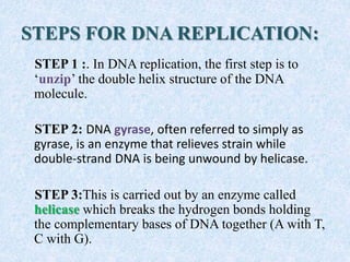 STEPS FOR DNA REPLICATION:
STEP 1 :. In DNA replication, the first step is to
‘unzip’ the double helix structure of the DNA
molecule.
STEP 2: DNA gyrase, often referred to simply as
gyrase, is an enzyme that relieves strain while
double-strand DNA is being unwound by helicase.
STEP 3:This is carried out by an enzyme called
helicase which breaks the hydrogen bonds holding
the complementary bases of DNA together (A with T,
C with G).
 
