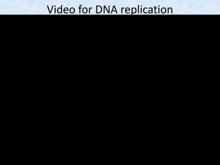 Video for DNA replication
 