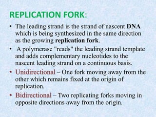 REPLICATION FORK:
• The leading strand is the strand of nascent DNA
which is being synthesized in the same direction
as the growing replication fork.
• A polymerase "reads" the leading strand template
and adds complementary nucleotides to the
nascent leading strand on a continuous basis.
• Unidirectional – One fork moving away from the
other which remains fixed at the origin of
replication.
• Bidirectional – Two replicating forks moving in
opposite directions away from the origin.
 