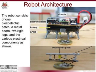Robot Architecture
The robot consists
of one
piezoelectric
patch, a metal
beam, two rigid
legs, and the
various electrical
components as
shown.
 