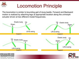 Locomotion Principle
The locomotion is similar to bounding gait of dung beetle. Forward and Backward
motion is realized by attaching legs at appropriate location along the unimorph
actuator driven at two different modal frequencies.
 