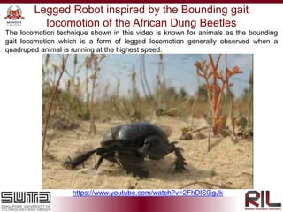 https://www.youtube.com/watch?v=2FhDlS0igJk
The locomotion technique shown in this video is known for animals as the bounding
gait locomotion which is a form of legged locomotion generally observed when a
quadruped animal is running at the highest speed.
Legged Robot inspired by the Bounding gait
locomotion of the African Dung Beetles
 
