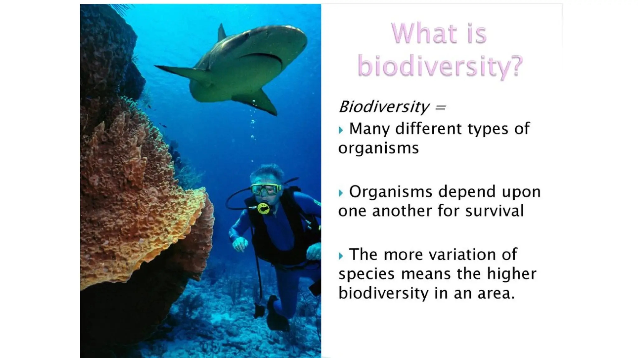 bidiversity.pptx quarter 1 week 1 matatag curriculum