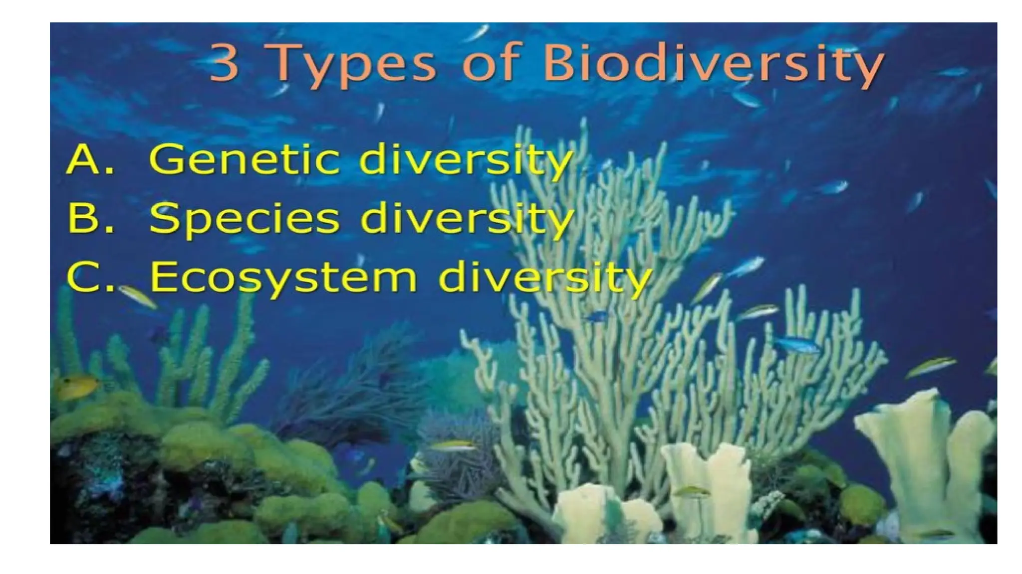 bidiversity.pptx quarter 1 week 1 matatag curriculum