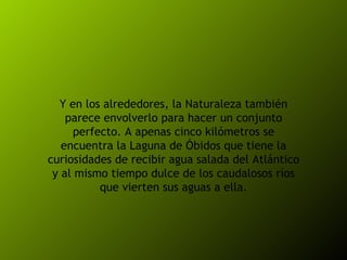 Y en los alrededores, la Naturaleza también parece envolverlo para hacer un conjunto perfecto. A apenas cinco kilómetros se encuentra la Laguna de Óbidos que tiene la curiosidades de recibir agua salada del Atlántico y al mismo tiempo dulce de los caudalosos ríos que vierten sus aguas a ella. 