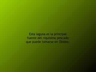 Esta laguna es la principal fuente del riquísimo pescado que puede tomarse en Óbidos. 