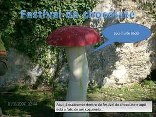 Aqui já estávamos dentro do festival do chocolate e aqui está a foto de um cogumelo . Sou muito lindo  