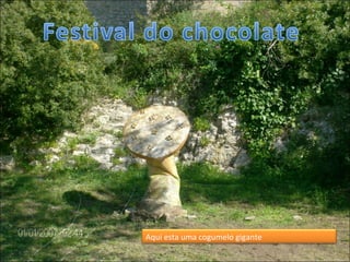 Aqui esta uma cogumelo gigante  