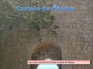Aqui está a parede do Grande Castelo de Óbidos 