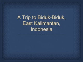 A Trip to Biduk-Biduk,
East Kalimantan,
Indonesia
 
