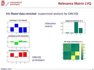 WISMAL 2020 38
Iris flower data revisited (supervised analysis by GMLVQ)
GMLVQ
prototypes
relevance
matrix
Relevance Matrix LVQ
 