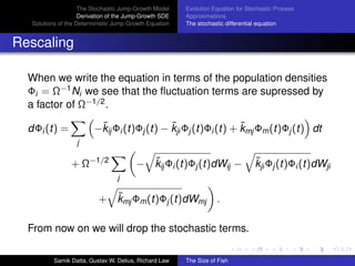 A stochastic Model for the Size Spectrum in a Marine Ecosystem | PDF