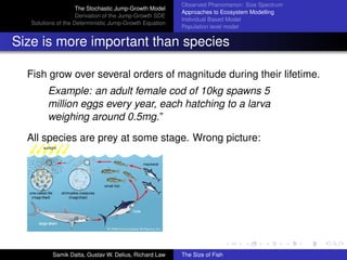 A stochastic Model for the Size Spectrum in a Marine Ecosystem | PDF