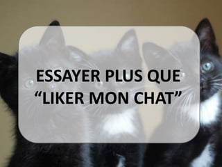 ESSAYER PLUS QUE
“LIKER MON CHAT”
 