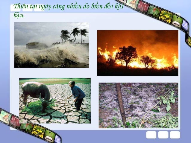Bien doi khi hau | PPT