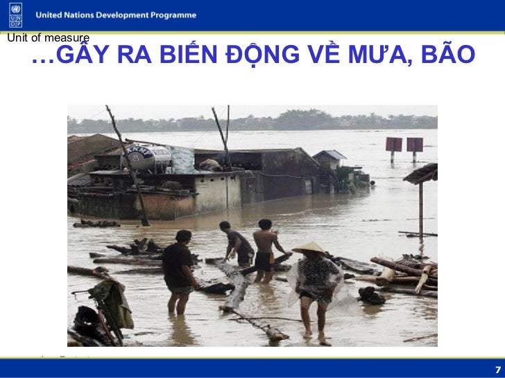 Forex ra doi nam nao