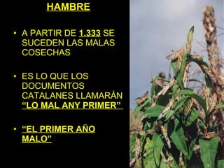 HAMBRE

• A PARTIR DE 1.333 SE
  SUCEDEN LAS MALAS
  COSECHAS

• ES LO QUE LOS
  DOCUMENTOS
  CATALANES LLAMARÁN
  “LO MAL ANY PRIMER”

• “EL PRIMER AÑO
  MALO”
 