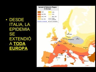• DESDE
  ITALIA, LA
  EPIDEMIA
  SE
  EXTENDIÓ
  A TODA
  EUROPA
 