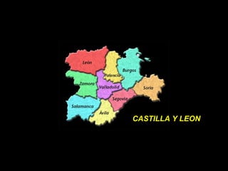 CASTILLA Y LEON 