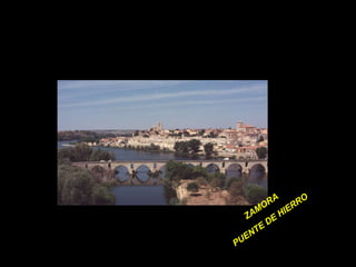ZAMORA PUENTE DE HIERRO 