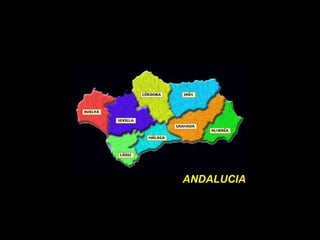 ANDALUCIA 