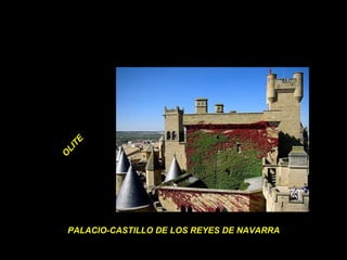 PALACIO-CASTILLO DE LOS REYES DE NAVARRA OLITE 
