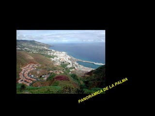 PANORÁMICA DE LA PALMA   