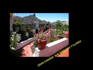 GRAN CANARIA  SUS TERRAZAS Y FLORES 
