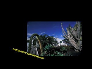 LANZAROTE EXHUBERANTE 
