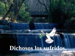 Dichosos los sufridos,
 